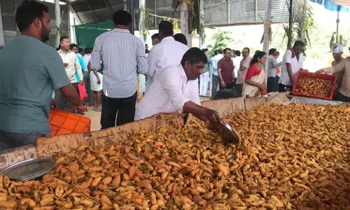 ಕೊಪ್ಪಳ | ಮಹಾದಾಸೋಹದಲ್ಲಿ 400 ಮಂದಿ ಬಾಣಸಿಗರಿಂದ ಮಿರ್ಚಿ ತಯಾರಿಕೆ