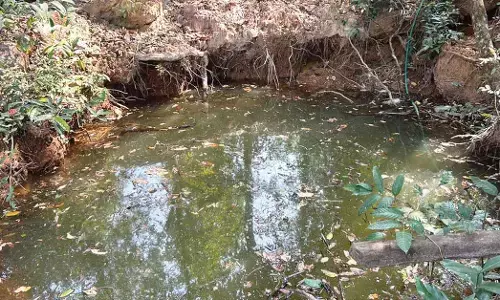 ಶಾಲೆಹಕ್ಲುವಿನಲ್ಲಿ ದಲಿತರ ಸಹಿತ 6 ಮನೆಯವರಿಗೆ ಜೀವಜಲಕ್ಕೆ ತತ್ವಾರ