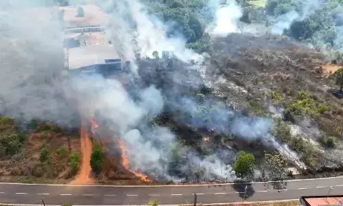 ನೀಲಾವರ: ರಸ್ತೆ ಬದಿ ಪ್ರದೇಶ ಬೆಂಕಿಗಾಹುತಿ