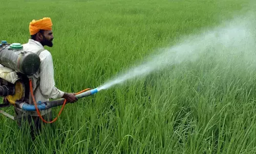 ಕೀಟನಾಶಕಗಳ ನಿರ್ವಹಣಾ ಮಸೂದೆ: ರೈತರು ಮತ್ತು ಕೈಗಾರಿಕೆಗಳಿಗೆ ಹೇಗೆ ಸಹಾಯ ಮಾಡುತ್ತದೆ ಈ ಹೊಸ ಕಾನೂನು?