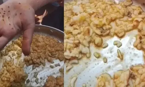 ಕೊಪ್ಪಳ | ಬಿಸಿಯೂಟದಲ್ಲಿ ಹುಳ ಪತ್ತೆ ಪ್ರಕರಣ : ಮೂವರು ಅಧಿಕಾರಿಗಳ ಅಮಾನತು