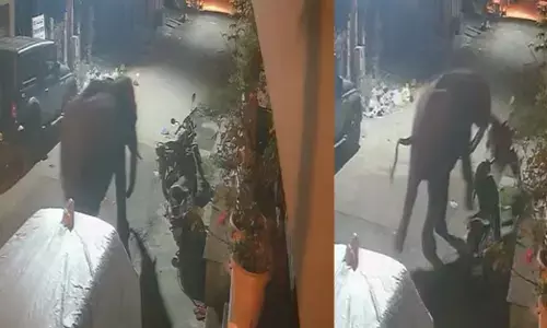 ಚಾಮರಾಜನಗರ | ನಾಡಿಗೆ ಬಂದ ಕಾಡಾನೆ: ಮಾರಿಗುಡಿ ಬೀದಿಯಲ್ಲಿ ರಂಪಾಟ