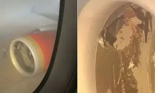 ಸರಕು ಕಂಟೈನರನ್ನು ಒಳಗೆ ಎಳೆದುಕೊಂಡ Air India ವಿಮಾನದ ಎಂಜಿನ್!