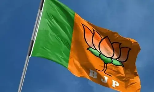 Maharashtra ಸ್ಥಳೀಯ ಸಂಸ್ಥೆ ಚುನಾವಣೆಯಲ್ಲಿ ಠಾಕ್ರೆ–ಪವಾರ್ ಎದುರು ಬಿಜೆಪಿ ಪ್ರಾಬಲ್ಯ; 2029 ಚುನಾವಣೆಗೆ ಹೆಚ್ಚಿದ ನಿರೀಕ್ಷೆ