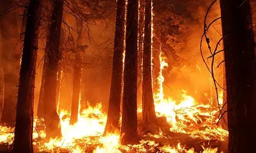 ಚಿಲಿಯಲ್ಲಿ ತೀವ್ರಗೊಂಡ ಕಾಡ್ಗಿಚ್ಚು: 20,000 ಜನರ ಸ್ಥಳಾಂತರ