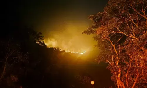 Mudigere | ಚಾರ್ಮಾಡಿ ಘಾಟಿಯ ಬಿದ್ರುತಳ ಭಾಗದಲ್ಲಿ ಅರಣ್ಯ ಅಗ್ನಿ ಅವಘಡ