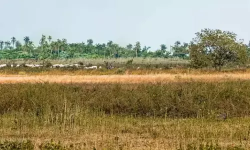 ಮಾಚೋಹಳ್ಳಿ ಅರಣ್ಯ ಭೂಮಿ ಸಂಘ, ಸಂಸ್ಥೆಗಳಿಗೆ ಮಂಜೂರು ಮಾಡಲು ಮೂರು ಇಲಾಖೆಗಳಿಂದಲೇ ಅಸಮ್ಮತಿ