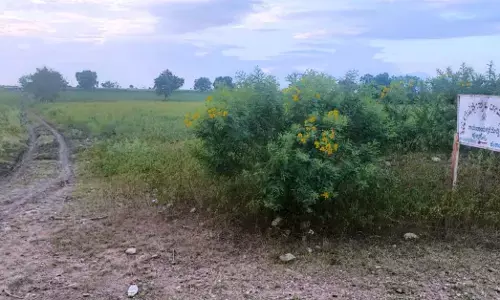 ಸ್ವಾತಂತ್ರ್ಯ ಬಂದು 77 ವರ್ಷ ಕಳೆದರೂ ವಿದ್ಯುತ್ ಸಂಪರ್ಕವಿಲ್ಲದ ರಾಮನಾಯಕ ದೊಡ್ಡಿ