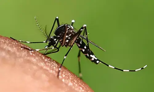 2030ರ ವೇಳೆಗೆ ಭಾರತದಿಂದ ಮಲೇರಿಯಾ ನಿರ್ಮೂಲನೆ ಸಾಧ್ಯವೇ?