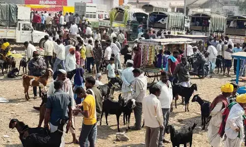 ವಿಜಯಪುರ ಎಪಿಎಂಸಿಯಲ್ಲಿ ಸೌಲಭ್ಯಗಳೇ ಮರೀಚಿಕೆ!