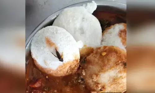 Davanagere | ಇಡ್ಲಿ ಸಾಂಬಾರಿಗೆ ಬಿದ್ದ ಹುಳು; ತಟ್ಟೆ ಸಮೇತ ಎಡಿಸಿಗೆ ವಿದ್ಯಾರ್ಥಿಗಳಿಂದ ದೂರು