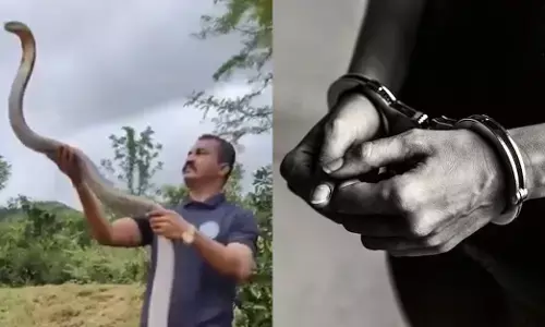 Maharashtra| ಆಂಬ್ಯುಲೆನ್ಸ್ ನಲ್ಲಿ 2.6 ಕೋಟಿ ರೂ.ಮೌಲ್ಯದ ಗಾಂಜಾ ಸಾಗಾಟ| ಹಾವು ಹಿಡಿಯುವ ಮೂಲಕ ಹೆಸರುಗಳಿಸಿದ್ದ ಯುಟ್ಯೂಬರ್ ಬಂಧನ