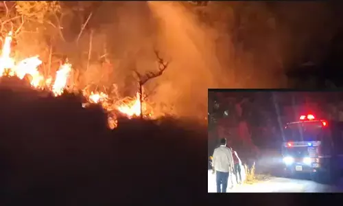 Mudigere | ಚಾರ್ಮಾಡಿ ಅರಣ್ಯದಲ್ಲಿ ಭಾರೀ ಬೆಂಕಿ: ಪಶ್ಚಿಮ ಘಟ್ಟಗಳ ಸೂಕ್ಷ್ಮ ಹುಲ್ಲುಗಾವಲು ಭಸ್ಮ