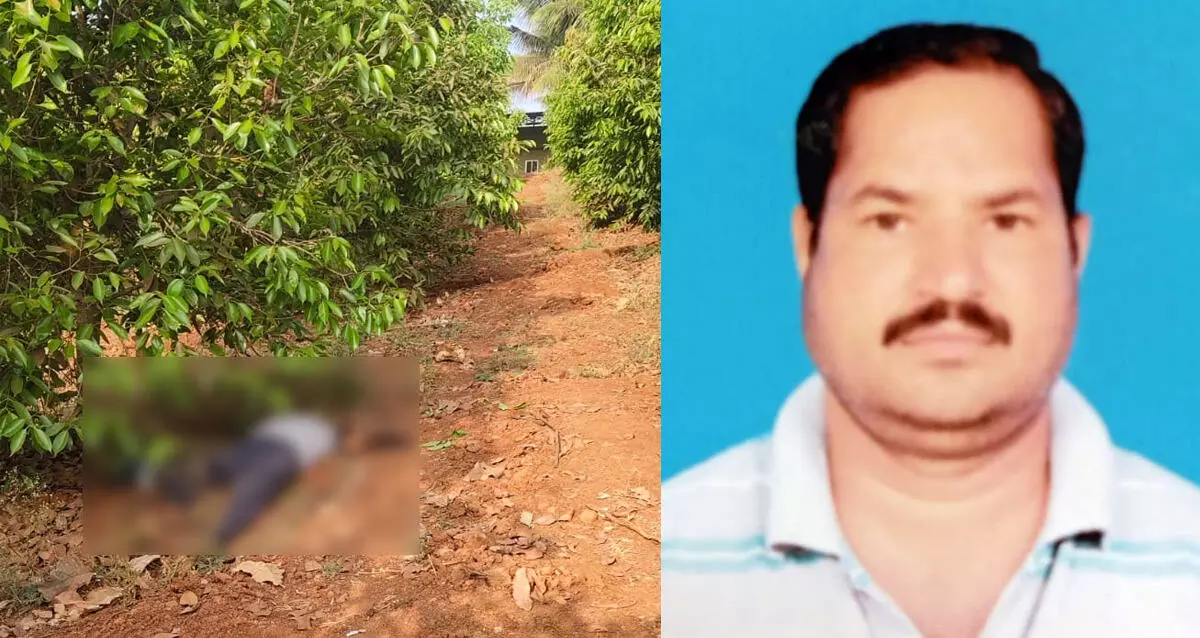 BAGALAKOTE | ಗೆಳೆಯನಿಗೆ ಮದ್ಯಪಾನ ಮಾಡಿಸಿ ಕಲ್ಲಿನಿಂದ ಜಜ್ಜಿ ಕೊಲೆ ಮಾಡಿದ ಯುವಕ BAGALAKOTE | ಗೆಳೆಯನಿಗೆ ಮದ್ಯಪಾನ ಮಾಡಿಸಿ ಕಲ್ಲಿನಿಂದ ಜಜ್ಜಿ ಕೊಲೆ ಮಾಡಿದ ಯುವಕ