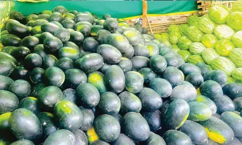 ಕೊಪ್ಪಳ | ದಿನದಿಂದ ದಿನಕ್ಕೆ ಹೆಚ್ಚುತ್ತಿರುವ ಬಿಸಿಲಿನ ತಾಪ