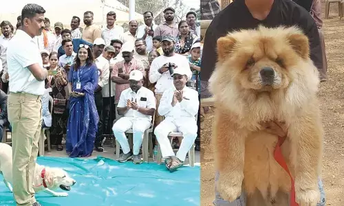 ಶ್ವಾನ ಪ್ರದರ್ಶನ ಉದ್ಘಾಟನೆ : ಜನಮನ ಗೆದ್ದ ಲ್ಯಾಬ್ರಡಾರ್, ಜರ್ಮನ್ ಶೆಫರ್ಡ್, ಬಾಕ್ಸರ್