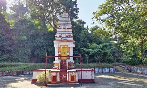 ದೇವರಕಾಡನ್ನು ಹುಡುಕುತ್ತಾ