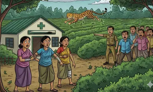 Mudigere | ಕಾಫಿ ತೋಟದಲ್ಲಿ ಕೆಲಸ ಮಾಡುತ್ತಿದ್ದ ಕಾರ್ಮಿಕರ ಮೇಲೆ ಚಿರತೆ ದಾಳಿ