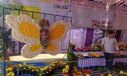 ಬಳ್ಳಾರಿ | ಕಂಪ್ಲಿ ಉತ್ಸವದಲ್ಲಿ ಫಲಪುಷ್ಪ ಪ್ರದರ್ಶನ, ಸಿರಿಧಾನ್ಯ ಮೇಳ