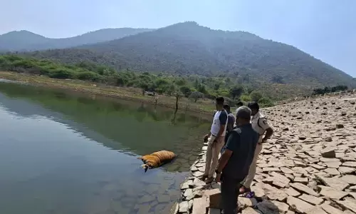 Kollegala | ಗುಂಡಾಲ್ ಜಲಾಶಯದಲ್ಲಿ ಹುಲಿ ಕಳೇಬರ ಪತ್ತೆ