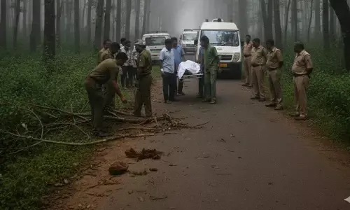 Chikkamagaluru | ಕಾಡಾನೆ ದಾಳಿಗೆ ಕೂಲಿ ಕಾರ್ಮಿಕ ಬಲಿ