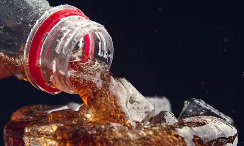 Gen Z ಮತ್ತು ಭಾರತದ ಶೂನ್ಯ ಸಕ್ಕರೆ ಡಯಟ್ ಉದ್ಯಮದ ಬೆಳವಣಿಗೆ; ವೈದ್ಯರ ಕಳವಳ