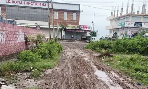 ಆಲಮೇಲ ವಾರ್ಡ್ ನಂ.1ರಲ್ಲಿ ನರಕಸದೃಶ ಪರಿಸ್ಥಿತಿ