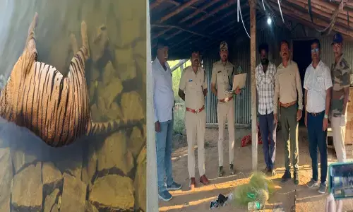 Kollegala | ಗುಂಡಾಲ್ ಜಲಾಶಯಲ್ಲಿ ಹುಲಿ ಕಳೇಬರ ಪತ್ತೆ ಪ್ರಕರಣ; ಓರ್ವನ ಬಂಧನ