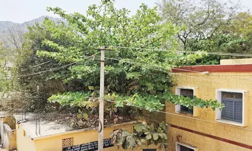 ಸುರಪುರ | ಶಾಲಾ ಆವರಣದಲ್ಲೇ ಹೈಟೆನ್ಶನ್ ಲೈನ್