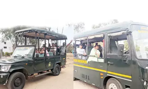 107 ದಿನಗಳ ಬಳಿಕ ಮತ್ತೆ ಆರಂಭವಾದ ಬಂಡೀಪುರ ಸಫಾರಿ