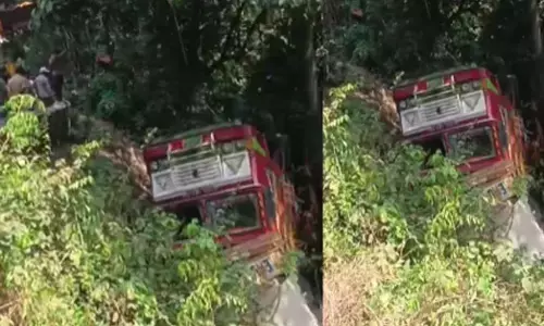 ಶಿರಾಡಿ ಘಾಟಿಯಲ್ಲಿ ಪ್ಲೈವುಡ್ ಲಾರಿ ಪಲ್ಟಿ