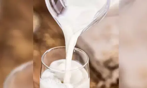 Andhra Pradesh | ಕಲಬೆರಕೆ ಹಾಲು ಕುಡಿದು ನಾಲ್ವರು ಮೃತ್ಯು: ಘಟನೆ ಕುರಿತು ವರದಿ ಕೇಳಿದ ಎಫ್‌ಎಸ್‌ಎಸ್‌ಎಐ