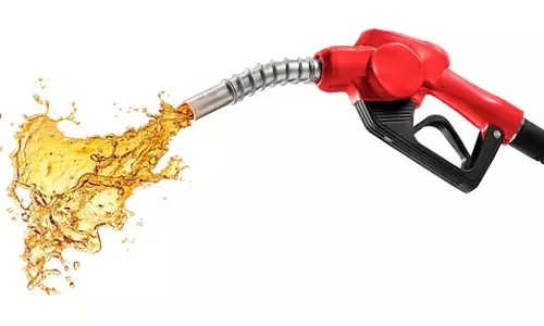 ಎಪ್ರಿಲ್ 1 ರಿಂದ E20 ಮಿಶ್ರಿತ RON 95 ಪೆಟ್ರೋಲ್ ಮಾರಾಟ ಕಡ್ಡಾಯ; ಇದು ಹಳೆಯ ಎಂಜಿನ್‌ಗಳ ಮೇಲೆ ಹೇಗೆ ಪರಿಣಾಮ ಬೀರುತ್ತದೆ?