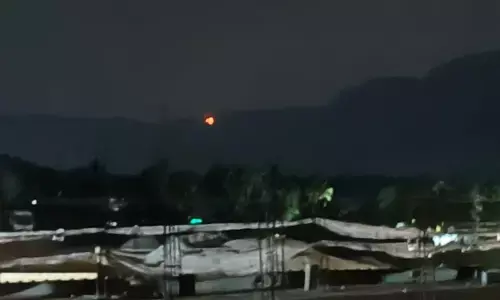 ಬೆಳ್ತಂಗಡಿ: ಎಳನೀರು ಅರಣ್ಯ ಪ್ರದೇಶದಲ್ಲಿ ಬೆಂಕಿ