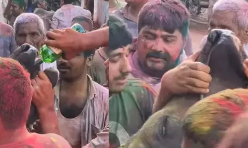 Haryana | ಹೋಳಿ ಆಚರಣೆಯ ವೇಳೆ ಜಾನುವಾರಿಗೆ ಮದ್ಯ ಕುಡಿಸಿ ಬಂಡಿ ಎಳೆಯಿಸಿದ ಆರೋಪ: ವೀಡಿಯೋ ವೈರಲ್