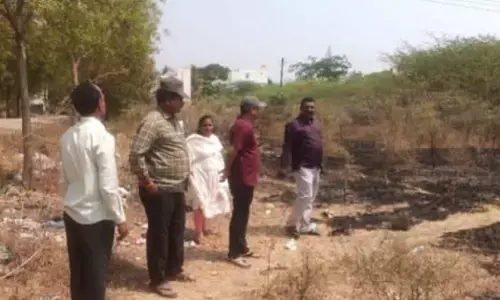 ವಿಜಯನಗರ | ಕೊಟ್ಟೂರು ತಾಲೂಕು ಕಚೇರಿ ಬಳಿ ಚಿರತೆ ಪ್ರತ್ಯಕ್ಷ !