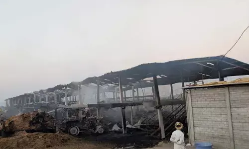 ಸಿಂಧನೂರು | ಶೆಡ್ ನಲ್ಲಿ ಬೆಂಕಿ ಅವಘಡ : 700ಕ್ಕೂ ಅಧಿಕ ಕುರಿಗಳ ಸಜೀವ ದಹನ