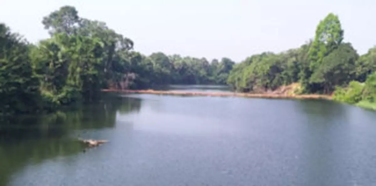 ಕೆರೆಗೆ ಬಿದ್ದು ಮಹಿಳೆ ಮೃತ್ಯು ಕೆರೆಗೆ ಬಿದ್ದು ಮಹಿಳೆ ಮೃತ್ಯು