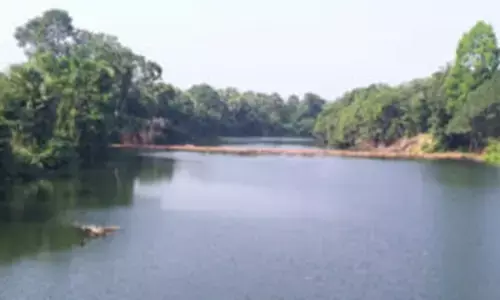 ಕೆರೆಗೆ ಬಿದ್ದು ಮಹಿಳೆ ಮೃತ್ಯು