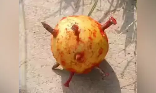 ‘ಅಲ್ಪಾಯುಷಿ’ ಎಂಬ ಮಾತು: ಭವಿಷ್ಯವಾಣಿಯೇ ಅಥವಾ ಮಾನಸಿಕ ಹಿಂಸೆಯೇ?