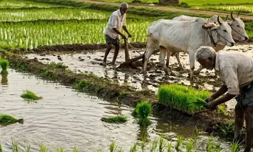 ಪಿಎಂ ಕಿಸಾನ್ ಯೋಜನೆಯ ಹಣ ಬಿಡುಗಡೆ: ಶುಕ್ರವಾರ ರಾಜ್ಯದ 41.40 ಲಕ್ಷ ರೈತರ ಖಾತೆಗೆ ನೇರ ಹಣ ವರ್ಗಾವಣೆ