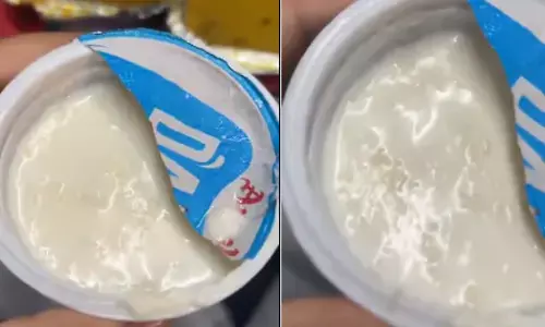 ವಂದೇ ಭಾರತ್ ರೈಲಿನಲ್ಲಿ ಪೂರೈಸಿದ ಮೊಸರಿನಲ್ಲಿ ಹುಳು ಪತ್ತೆ: ಐಆರ್‌ಸಿಟಿಸಿಗೆ 10 ಲಕ್ಷ ರೂ.ದಂಡ