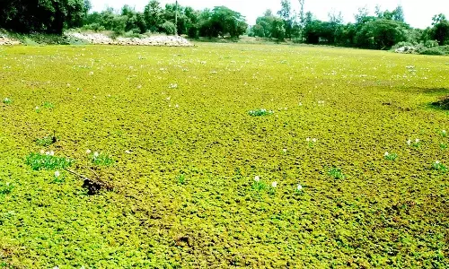 ಅಭಿವೃದ್ಧಿ ಕಾಣದ ಬೀಜಾಡಿ ಮೂಡುಕೊಳ-ಪಡುಕೊಳ ಕೆರೆಗಳು !