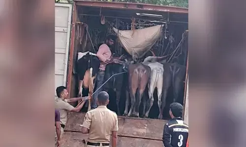 Kadaba | ಅಕ್ರಮ ಜಾನುವಾರು ಸಾಗಾಟ: ಓರ್ವನ ಬಂಧನ