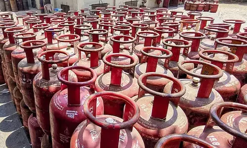 ಪಿಎನ್‌ಜಿ ಸಂಪರ್ಕಕ್ಕೆ ಅರ್ಜಿ ಸಲ್ಲಿಸಿದರೆ ಮಾತ್ರ ಉದ್ಯಮಗಳಿಗೆ ಎಲ್‌ಪಿಜಿ ಪೂರೈಕೆ: ದಿಲ್ಲಿ ಸರಕಾರ ಆದೇಶ