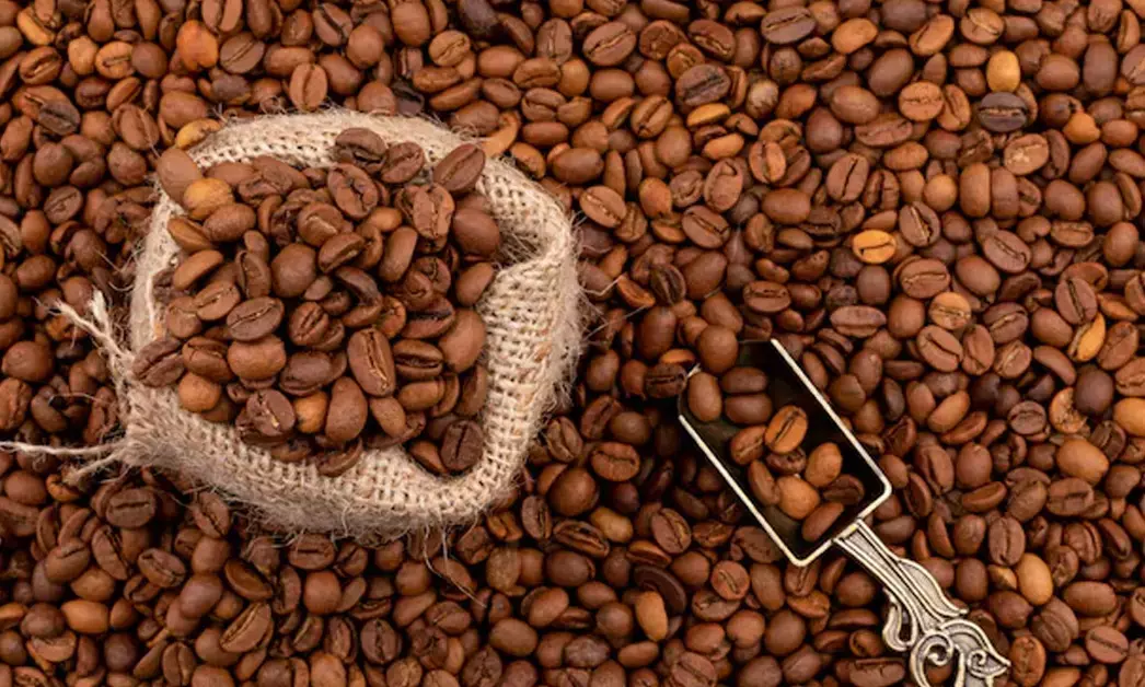 Iran ಯುದ್ಧ | ಭಾರತೀಯ ಕಾಫಿ ರಫ್ತಿಗೆ ತೀವ್ರ ಹೊಡೆತ