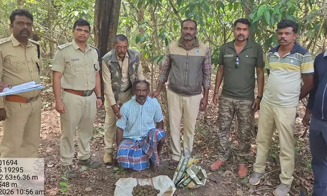 ಶಿವಮೊಗ್ಗ : ಶಿಕಾರಿಗೆ ಬಳಸುತ್ತಿದ್ದ 45 ನಾಡ ಬಾಂಬ್‌ಗಳು ವಶಕ್ಕೆ; ಓರ್ವ ಸೆರೆ, ಇಬ್ಬರು ಪರಾರಿ