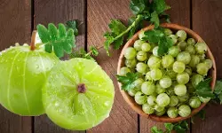 ನೈಸರ್ಗಿಕ ಆಹಾರಗಳು vs ಪೂರಕ ಆಹಾರಗಳು; ವೈದ್ಯರ ಸಲಹೆ ಅತಿ ಮುಖ್ಯ