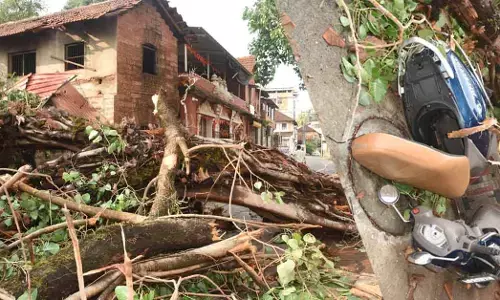 ಮಂಗಳೂರು: ಭಾರಿ ಗಾಳಿ-ಮಳೆಗೆ ಮುರಿದು ಬಿದ್ದ ಮರದ ಗೆಲ್ಲು; ಮನೆ, ವಾಹನಗಳಿಗೆ ಹಾನಿ