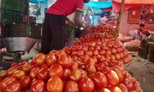 ಸಂಪಾದಕೀಯ | ನಾವು ತಿನ್ನುವ ಆಹಾರ ಎಷ್ಟು ಸುರಕ್ಷಿತ?